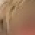 Illustration du profil de Desir-sensuel11